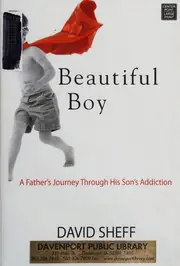 Beautiful Boy: A Father's Journey Through His Son's Addiction