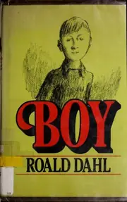 Boy: Tales of Childhood