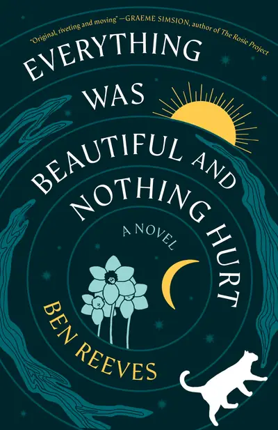 Everything Was Beautiful and Nothing Hurt: A Novel