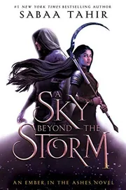 A Sky Beyond the Storm