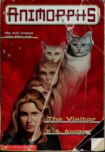 The Visitor